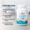 Nordic Naturals, Омега-3 с коэнзимом Q10, со вкусом лимона, 120 желатиновых капсул