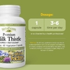 Natural Factors, расторопша, 160 мг, 60 вегетарианских капсул