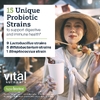 Vital Nutrients, пробиотик при частом газообразовании и вздутии живота, 60 веганских таблеток