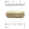 California Gold Nutrition, экстракт мелиссы лекарственной, 500 мг, 60 растительных капсул