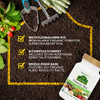 NaturesPlus, сертифицированный органический витамин B12, 60 веганских капсул