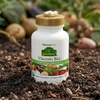 NaturesPlus, сертифицированный органический витамин B12, 60 веганских капсул
