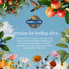 Garden of Life, мультивитаминные жевательные таблетки для детей, органические фрукты и витамины, вкус фруктов, 120 веганских жевательных мишек