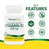 NaturesPlus, витамин B2, длительное высвобождение, 250 мкг, 60 таблеток