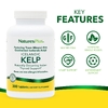 NaturesPlus, исландский келп, 300 таблеток (150 мг в каждой таблетке)