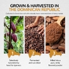 Zint, чистый органический порошок, со вкусом какао, 454 г (16 унций)
