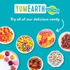 YumEarth, жевательные мишки без глютена, клубника, вишня, манго, персик, 10 порционных упаковок по 19,8 г (0,7 унции)