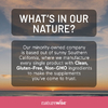 NatureWise, пробиотики для женщин, с отсроченным высвобождением, 60 капсул