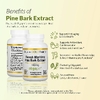 California Gold Nutrition, экстракт коры французской приморской сосны, 100 мг, 60 растительных капсул