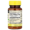 Mason Natural, цельное растение гинкго билоба, 60 капсул (125 мг в 1 капсуле)
