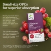 Terry Naturally, Экстракт косточек французского винограда (Vitis vinifera), 400 мг, 60 капсул