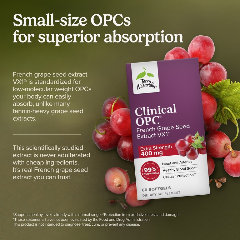 Terry Naturally, Экстракт косточек французского винограда (Vitis vinifera), 400 мг, 60 капсул