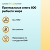 California Gold Nutrition, рыбий жир с омега-3, в форме триглицеридов, 90 капсул из рыбьего желатина (1000 мг в 1 капсуле)