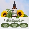 Garden of Life, Organics, масло орегано, сезонные капли, без спирта, 30 мл (1 жидк. унц.)