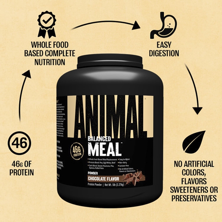 Animal, Balanced Meal ™, протеиновый порошок, шоколад, 2,27 кг (5 фунтов)