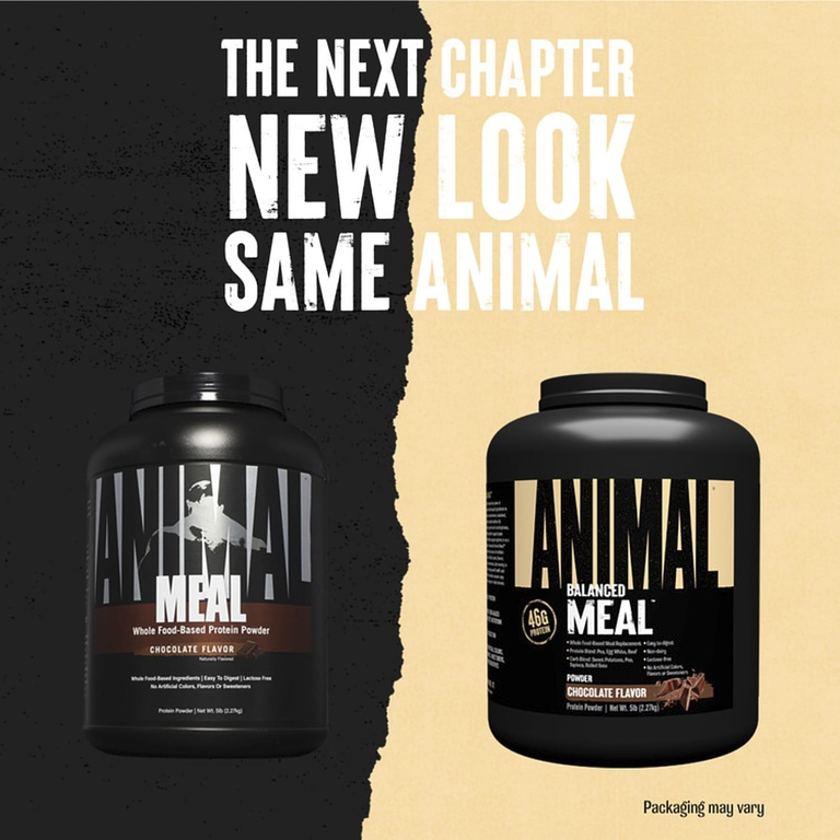 Animal, Balanced Meal ™, протеиновый порошок, шоколад, 2,27 кг (5 фунтов)
