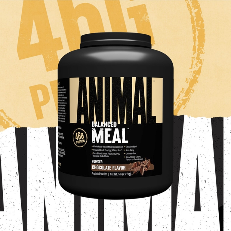 Animal, Balanced Meal ™, протеиновый порошок, шоколад, 2,27 кг (5 фунтов)