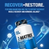 EVLution Nutrition, Z-Matrix®, комплекс для восстановления и сна, 240 капсул