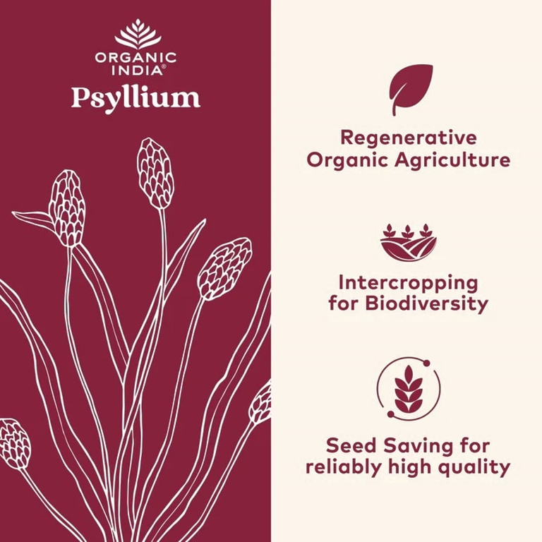 Organic India, подорожник, клетчатка из цельной шелухи, 340 г (12 унций)