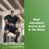 Optimum Nutrition, Глютамин, 240 капсул (0,5 г в каждой капсуле)