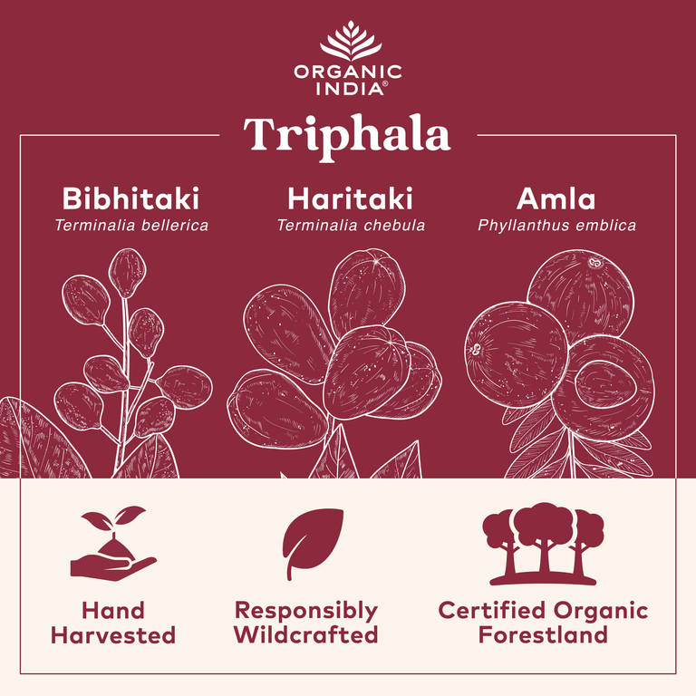 Organic India, трифала, порошок из плодов, 454 г (16 унций)