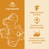 Organic India, Turmeric Formula, куркума, поддержка подвижности и здоровья суставов, 180 растительных капсул